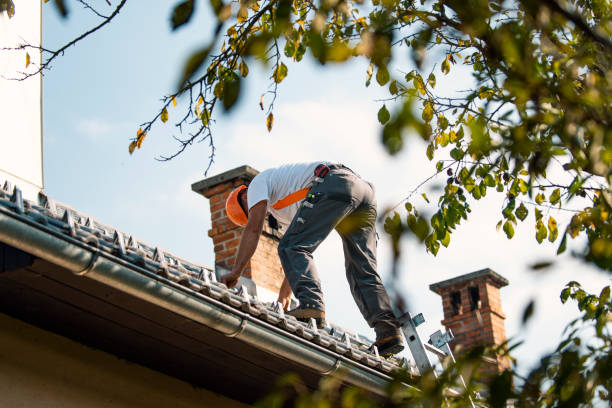 Best Roof Leak Repair  in Pilot Mountain, NC